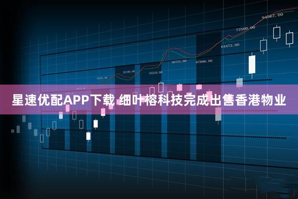 星速优配APP下载 细叶榕科技完成出售香港物业