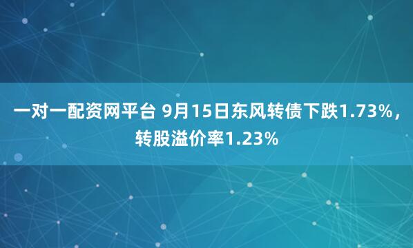 一对一配资网平台 9月15日东风转债下跌1.73%，转股溢价率1.23%